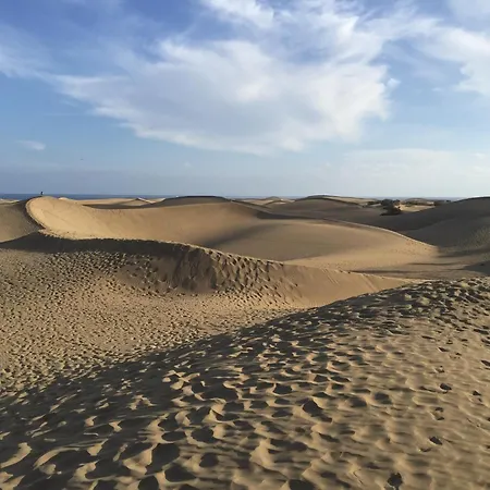 Atlantic Coast - 公寓 *